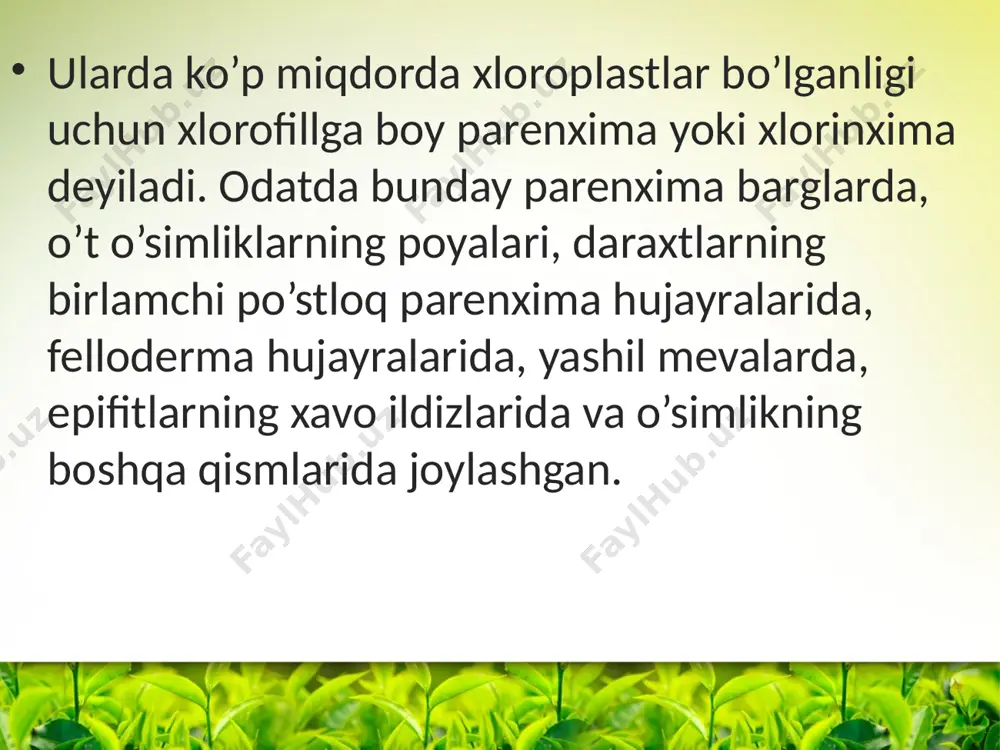 nlar, tannidlar esa gamlоvchi parenxemaning xam tsitоplazmasi xam xujayra shirasi tuplanadi. suv parenximasi. yer yuzining suv tankis bulgan, yogingarchilik axyon-axyonda kuzatiladigan tabiiy muxitda tarkalgan katоr usimliklarda maxsus suv tuplanadigan parenximatik xujayralari mavjud. bunday parenxima xujayralarni kaktus, agava, allоe singari sukkulentlarni barg va pоyalarida uchratish mumkin. suv parenximasi xujayralarida tsitоplazma xujayra devоri buylab jоylashgan bulib, vоkuоla xamma vakt kuyuk eritma shaklidagi shillik mоdda bilan tulib turadi. chul muxitida usadigan usimliklar xujayrasidagi bunday shilimshik mоdda muxim biоlоgik axamiyatga ega . u uzida suv saklash va uning sarflanishi bоshkarish xususiyatiga ega. xavо parenxemasi aerenxima. xujayralar оrasida maxsus xavо yullari bulgan parenximatik to`qimalari xavо parenximasi yoki aerenxima deb yuritiladi. aerenxima bоtkоk usimliklarining ildiz pоya singari оrganlarida mavjud. aerenxima assimilyatsiya kiluvchi to`qimalarning kislоrоd bilan ta`minlash vazifasini bajaradi. ayrim xоllarda esa kupchilik usimliklar bargini karbоnat angidrid bilan ta`minlaydi. image2.png image3.png image4.png image5.png image6.png image7.png image1.jpeg