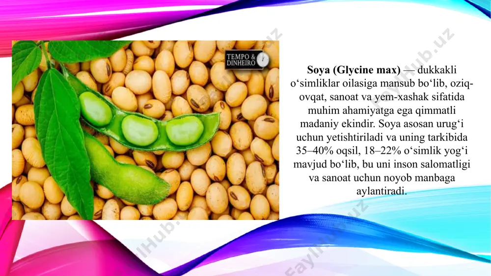 a ishlab chiqaruvchi davlatlar hisoblanadi. ushbu mamlakatlarda soya nafaqat oziq-ovqat va yem-xashak manbai, balki eksportning asosiy yo‘nalishlaridan biri hisoblanadi. soya bozori barqaror va keng rivojlanayotgan bo‘lib, hozirgi global oziq-ovqat tanqisligi sharoitida unga bo‘lgan ehtiyoj yanada ortib bormoqda. ayniqsa, o‘simlik oqsillariga bo‘lgan talabning oshishi soya mahsulotlarining qadriyatini oshiradi. bu esa har bir agrar davlat uchun uni yetishtirish va qayta ishlash sohasini rivojlantirishni dolzarb masalaga aylantiradi. zamonaviy qishloq xo‘jaligida soya yetishtirishda quyidagi innovatsion yondashuvlar asosiy rol o‘ynaydi: genetik modifikatsiya va nav tanlovi: soya uchun yuqori hosilli, qurg‘oqqa va kasalliklarga chidamli navlar yaratish orqali yetishtirish samaradorligi oshmoqda. bu navlar har xil agroiqlim sharoitlariga moslashtirilmoqda. smart qishloq xo‘jaligi texnologiyalari: dronlar, sun’iy intellekt, tuproq sensorlari va gps asosidagi mexanizatsiyalashgan texnikalar orqali urug‘ ekish, sug‘orish va o‘g‘itlash ishlari aniq va tejamkor tarzda amalga oshirilmoqda. biotexnologik ishlovlar: urug‘larni foydali mikroorganizmlar bilan ishlov berish (biologik inokulyatsiya) orqali o‘simlik o‘sishi va hosildorligi oshiriladi. tomchilatib sug‘orish tizimlari: soya suvni mo‘’tadil …