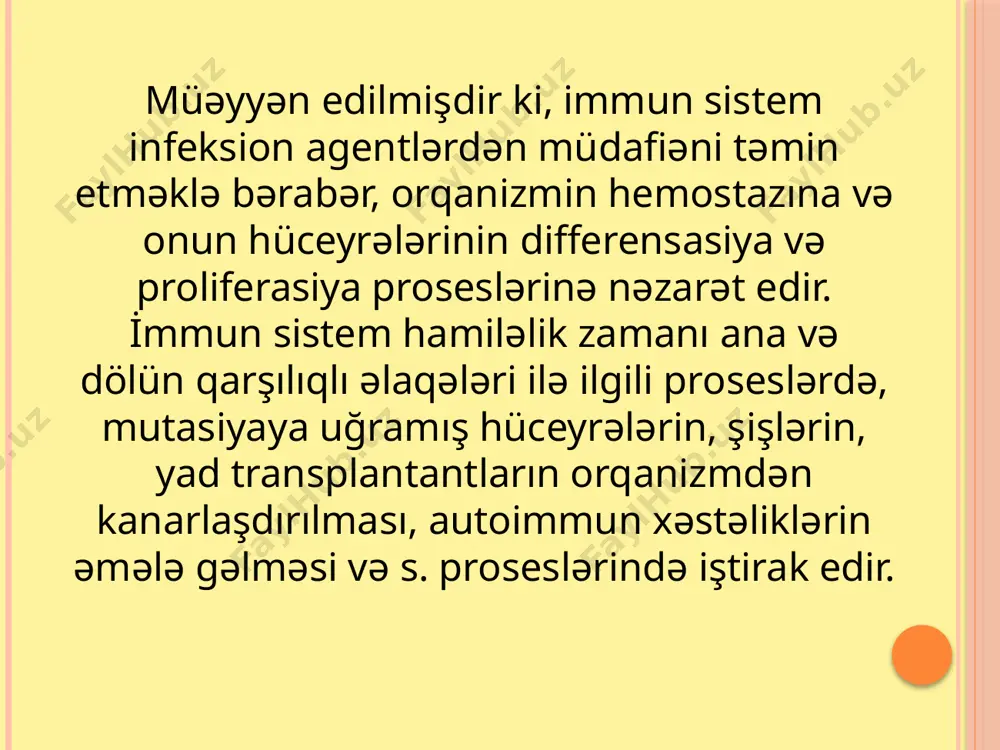. bunlar öz funksiyaları və müxtəlif antigenlərə reaksiya vermək qabiliyyətinə görə fərqlənirlər. yetkin limfositlər b- və t-limfositler olmaqla iki populyasiyaya bölünürlər. b-limfositlər quşlarda fabrisius kisəsi adlanan orqanda, məməlilərdə isə ona ekvivalent orqanlarda polipotent kök hüceyrələrdən antigendən asılı olmadan differensiasiya olunmaqla əmələ gəlirlər. quşlarda fabrisius kisəsi limfoepitelial orqandır, kloakanın ifrazat dəliyinin arxa divarında yerləşir. cücələrdə fabrisius kisəsinin kənar edilməsi, onların anticisim hazırlamaq qabiliyyətinin davamlı olaraq azalmasına səbəb olur. halbuki, timusun kənarlaşdırılması bu prosesə təsir etmir. məməlilərdə, o cümlədən insanlarda fabrisius kisəsi olmur. t-limfositlər də antigendən asılı olmayan differensiasiya nəticəsində timus (çəngəlvari) vəzidə sələf hüceyrələrdən formalaşırlar . i̇mmun sistemin hüceyrələri heterogen və çoxfunksiyalıdır. əsl immun va ya immunokompetent hüceyrələrə makrofaqlar, t-və b-limfositlər aiddir. bu hüceyrələr öz növbəsində yetkinləşmə səviyyəsinə və ifadə etdikləri funksiyalara görə subpopulyasiyalara və növlərə bölünürlər. bununla belə, makrofaqlar toxumalarda stroma funksiyasını da ifa edir. bundan başqa immun cavab reaksiyasında onun təşəbbüskarı və tənzimləyicisi kimi iştirak edir, hemopoeza, qanın laxtalanma …