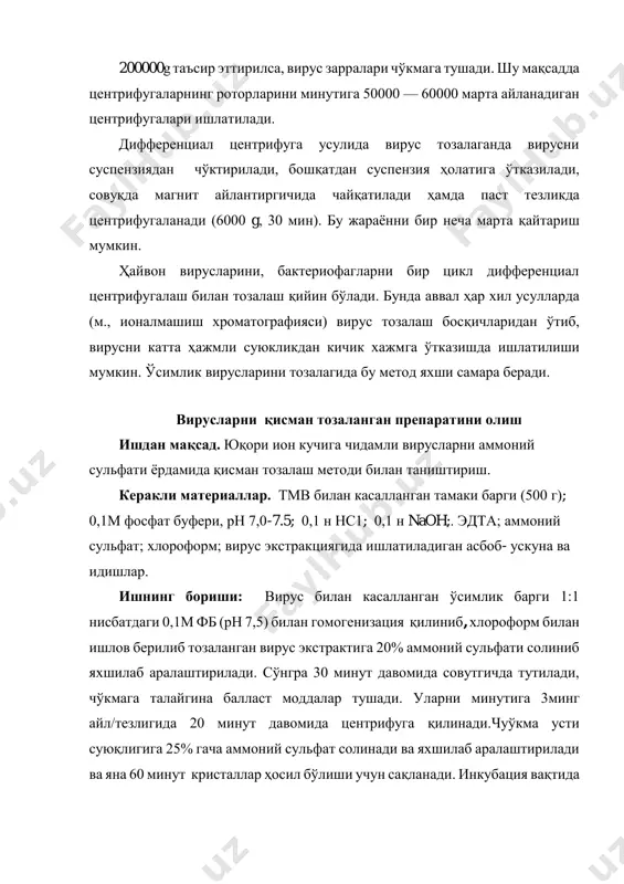 енциал центрифуга усулида вирус тозалаганда вирусни суспензиядан чўктирилади, бошқатдан суспензия ҳолатига ўтказилади, совуқда магнит айлантиргичида чайқатилади ҳамда паст тезликда центрифугаланади (6000 g, 30 мин). бу жараённи бир неча марта қайтариш мумкин. ҳайвон вирусларини, бактериофагларни бир цикл дифференциал центрифугалаш билан тозалаш қийин бўлади. бунда аввал ҳар хил усулларда (м., ионалмашиш хроматографияси) вирус тозалаш босқичларидан ўтиб, вирусни катта ҳажмли суюкликдан кичик хажмга ўтказишда ишлатилиши мумкин. ўсимлик вирусларини тозалагида бу метод яхши самара беради. вирусларни қисман тозаланган препаратини олиш ишдан мақсад. юқори ион кучига чидамли вирусларни аммоний сульфати ёрдамида қисман тозалаш методи билан таништириш. керакли материаллар. тмв билан касалланган тамаки барги (500 г); 0,1м фосфат буфери, рн 7,0-7.5; 0,1 н нс1; 0,1 н naoh;. эдта; аммоний сульфат; хлороформ; вирус экстракциягида ишлатиладиган асбоб- ускуна ва идишлар. ишнинг бориши: вирус билан касалланган ўсимлик барги 1:1 нисбатдаги 0,1м фб (рн 7,5) билан гомогенизация қилиниб, хлороформ билан ишлов берилиб тозаланган вирус экстрактига 20% аммоний сульфати солиниб яхшилаб …