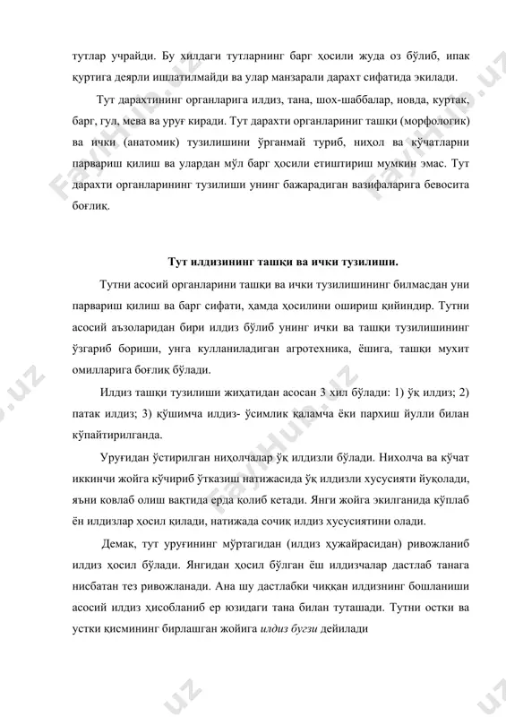 ён илдизлардан ташқари тут новдасидан кушимча илдизлар пайдо бўлиши мумкин. тут танасининг пастки қисми нам тупроқ билан кўмилган бўлса ёки қаламчаси экилганда ҳосил бўлга-нида бундай илдизлар қўшимча илдиз деб юргизилади (аталади). тутнинг ёши каттарган сайин илдизнинг ташқи тузилиши каттариб, пастга чукурликка ва ён тарафларга қараб кўпроқ озиқа йиғиб олиш учун ўсиб йўғонлаша бошлайди. катта ёшдаги баланд танали ва бута шаклдаги тут дарахтларининг илдизи чукурликка ва ён тарафга қараб кўп шохланган бўлади. илдиз анатомияси. ёш илдиз ва кекса илдиздан ҳосил бўлаётган дастлабки илдизнинг бирламчи қисми узак қисми, ёгочлик, флоэма (луб) қисмини ўраб турувчи асосий паренхема, пўстлоқ паренхемаси (тўқима) пўслоқ ва илдиз тукчаларидан иборат. илдиз катталашгандан сўнг ҳамма тўқималар мукаммал навбатлашиш тартибида жойлашади: бунда ок рангдаги найлар, бирламчи ва иккиламчи жигар рангдаги узак нурлари, бирламчи ва иккиламчи ёғочлик, кул рангдаги иккиламчи луб ва ён илдиз тут танасининг ташқи ва ички тузилиши тут танаси. тут дарахти йугон танадан, ҳамда жуда кўп шох - …