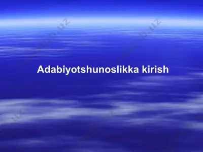adabiyotshunoslikka kirish — PPT