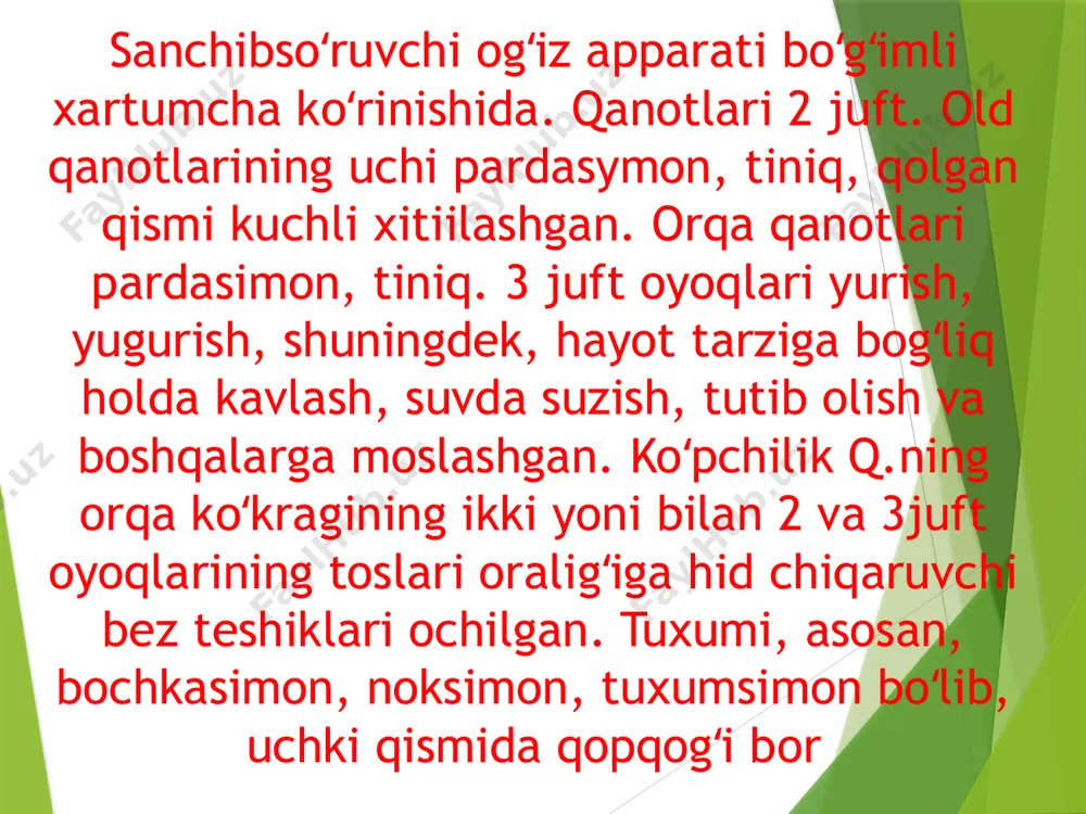 ton sharoitida yiliga 3-4 marta bo’g’in beradi. e’tibotingiz uchun rahmat audio1.wav audio3.wav audio4.wav audio5.wav audio6.wav image1.jpeg image2.jpeg audio7.wav /docprops/thumbnail.jpeg
