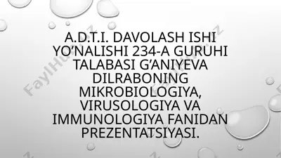 mikroorganizmlar ekologiyasi — PPTX