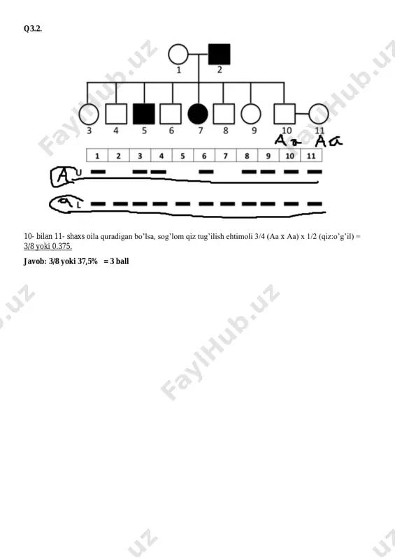 genetika sinov testi - Page 4