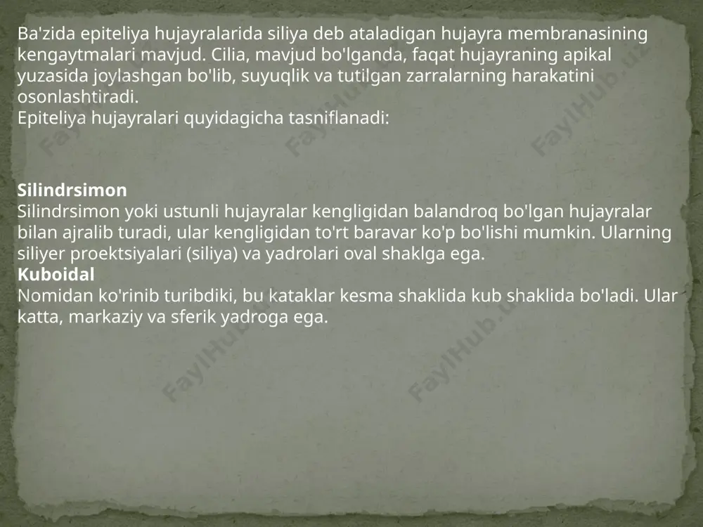 epiteliya to'qimalari - Page 5