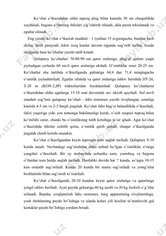 keyin qator oralariga va qatorlarga yengil ishlov beriladi. ayni paytda gektariga 60 kg azotli va 30 kg fosforli o’g’itlar solinadi. bunday oziqlantirish ildiz sistemasi, barg apparatining rivojlanishiga, yosh shohlarning paydo bo’lishiga va ularda kelasi yili hosilini ta’minlovchi gul kurtaklar paydo bo’lishiga yordam beradi. kuzda qulupnoyzor chopiq qilib, chuqur yumshatiladi. ildiz va yosh shohlarni qishda qora sovuqlardan asrash maqsadida gektariga 10-15 tonnadan chirigan go’ng solinadi yoki qipiq bilan mulchalanadi. fevral oxiri - mart boshlarida qator oralariga va o’simlik atrofiga ishlov beriladi. o’simlik ildizlari yuzaga chiqib qolganda asosiy ildiz ochiladi, o’simlik atrofi yumshatilib, tuproq bostiriladi. ayni paytda qurigan barglar olib tashlanadi. qulupnoy ko’chati tutmagan joylarga o’simlik tuprog’i bilan o’tkaziladi. qulupnoyni kasallik va zararkunandalardan himoya qilish maqsadida profilaktik tadbirlar o’tkaziladi. meva tugish davrida - aprelda tuproq ikkinchi marta yumshatiladi. o’toq qilinadi va sug’orish egatlari to’g’rilab qo’yiladi. keyinchalik qulupnoyga mevalar terib olingandan so’ng va kuzda ishlov beriladi. u 13-15 marta sug’oriladi. shag’al qatlam yaqin …