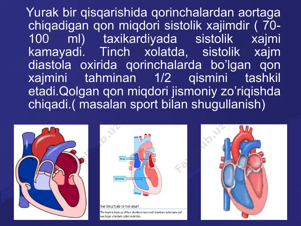 . gipoksiya. giperkapniya yurak faoliyatini tormozlovchi faktorlar: atsetilxolin gipoksemiya giperkapniya. atsidoz, к+ , н+ ionlari. sut, karbonat kislotalari, metabolitlar yurak faoliyatining gumoral boshqarilishi. qondagi k va ca ionlarining miqdori ham yurak qisqarishlariga ta`sir kursatadi. со2, о2 va h+ ionlarining qondagi portsial bosimi aorta yoyi va karotid sinusidagi xemoretseptorlarga ta`sir ko`rsatadi. shunday qilib, pco2 ning ko'payishi va qon ph ining pasayishi, bir tomondan, yurak-qon tomir markaziga bevosita ta'sir qiladi, ritm va o'tkazuvchanlikka simpatik ta'sir ko'rsatadi, boshqa tomondan, aorta yoyi va karotid sinusning xemoretseptorlarini faollashtiradi. 10/02/08 20:55 * qondagi ionlarning miqdori uzunchoq miyaning vazomotor markazi orqali ularning qo'zg'alishi ritm va o'tkazuvchanlikka ta'sir ko'rsatadi. yurak faoliyatining gumoral boshqarilishi. 10/02/08 20:55 * e`tiboringiz uchun rahmat! 10/02/08 20:55 *