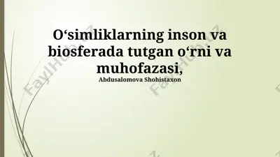 o‘simliklarning inson va biosferada tutgan o‘rni va muhofazasi — PPTX