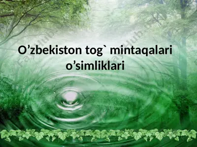 o’zbekiston tog` mintaqalari o’simliklari — PPTX