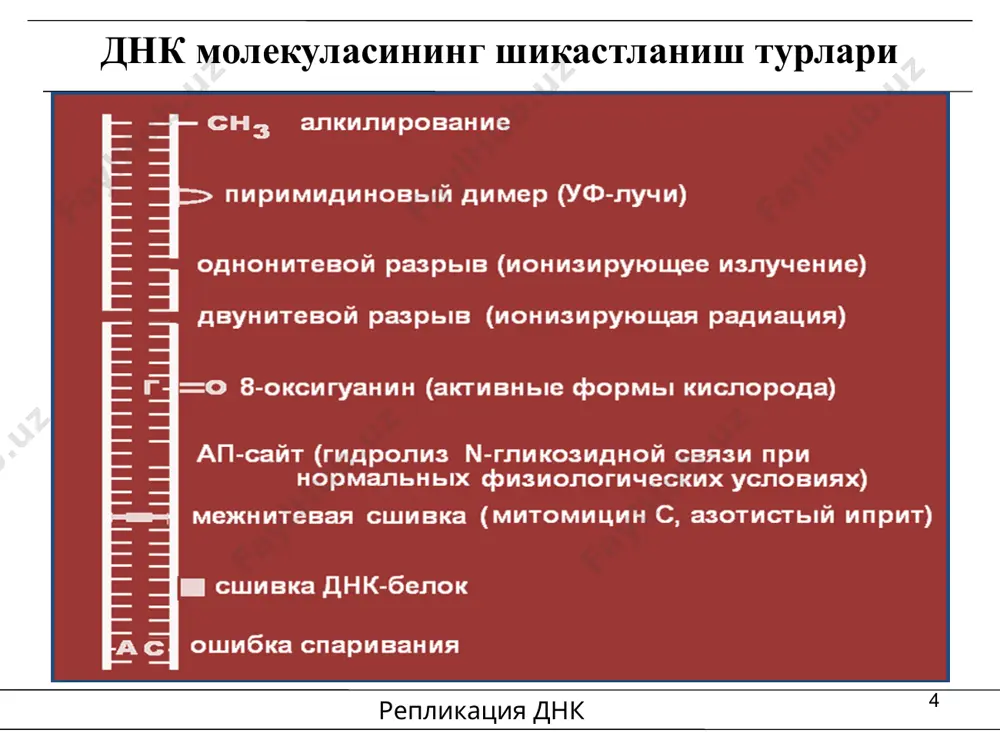 бошқалар) нейронлар гематологик касалликлар (анемия, нейтропения и т.д.) қон яратувчи ҳужайралар ишемия нейрон ва кардиомиоцитлар заҳарланиш ва гепатит гепатоциты атеросклероз силлиқ мушак ҳужайралари катаракта шиша тана ҳужайралари тиреоидит тиреоцитлар 18 апоптозни сусайиши билан кечувчи патологик жараёнлар жараён тўқима ва ҳужайра турлари неоплазия лимфомалар, карциномалар, гормонга боғлиқ ўсмалар (сут бези саратони, простата раки, тухумдонлар раки) аутоиммун касалликлар т-ва в- ҳужайралар, синовиал, эпителиал ҳужайралар, фибробластлар. вирусли инфекциялар (аденовируслар, эпштейн-барр [в-ҳужайралар], герпес вируси) лимфоид ва эпителиал ҳужайралар 19 кимёвий моддалар таъсирида хужайраларнинг неопластик трансформацияси канцерогенез деб аталади. қайси тўқима ва хужайралардан хосил бўлишига кўра ўсмалар қуидагича тасфсифланади: карциномалар — эктодерма ва эндодерма хужайраларидан хосил бўлган; саркомалар — мезодерма хужайраларидан; гемобластозлар (лейкозлар ва лимфомалар) — қон ва лимфа камбиал хужайраларидан хосил бўлган. асосий кимёвий канцерогенлар канцерогенлар таъсирида хужайра днк шикастланиши натижасида кузатилади: полициклик ароматик углеводородлардан канцероген моддалар синтези 2-нафтиламиннинг метаболизми нитрозаминлар метаболитларининг днк молекуласини метилланиши ўсма ривожланишининг вирусли назарияси днк-тутувчи вируслар: эпштейн барр, папиллома …