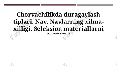 chorvachilikda duragaylash tiplari va seleksion materiallar — PPTX