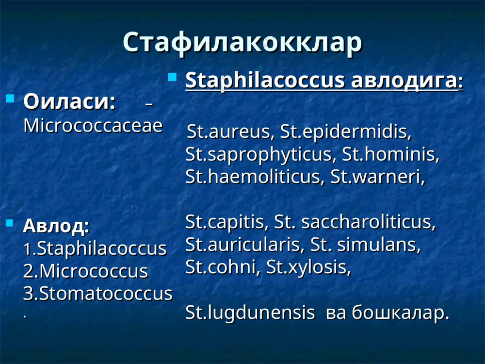тади. - днк –аза - хужайра днк сини парчалайди. - пеницилиназа – пеницилинни парчалайди. -β –лактамаза –β – лактам халка тутувчи антибиотикларни парчалайди. -фибринолизин – фибринни эритиб юборади. токсинлари. – оксил токсини (экзотоксин) липидли - токсин (энтеротоксин) -экзотоксинлар: -гемолизин: α – гемолизин – хакикий экзотоксин: эритроцитларни парчалайди. анатоксинга айланади. β - гемолизин 20% гача штаммлари эритроцитларни парчалиши мумкин. паст хароратда гемолитик хусусияти ошади γ – гемолизин: кам активликка эга. конли мухитда активлиги кузатилмайди. δ – гемолизин: паст молекулали бирикма антиген хусусиятга эга, яъни цитотоксик хусусиятни номоён килади. эксофолотинлар – «пишган тери» синдроми, токсик шокларни келтириб чикаради. энтеротоксин – овкатдан захарланишни келтириб чикаради. патоген стафилококклар келтириб чиқаровчи касалликлар касалликлар қўзғатувчиси кўз инфекцияси s.epidermidis сийдик йўллариинфекцияси s.aureus,s.epidermidis,s.sapophyticus “ куйган тери”синдроми s. aureus “токсик шок”синдроми s. aureus овқатдан заҳарланишлар s. aureus сепсис s. aureus пеританитлар s. aureus патоген стафилококклар келтириб чиқаровчи касалликлар касалликлар қўзғатувчилари жароҳат инфекцияси s. aureus тери йирингли инфекцияси s. aureus …