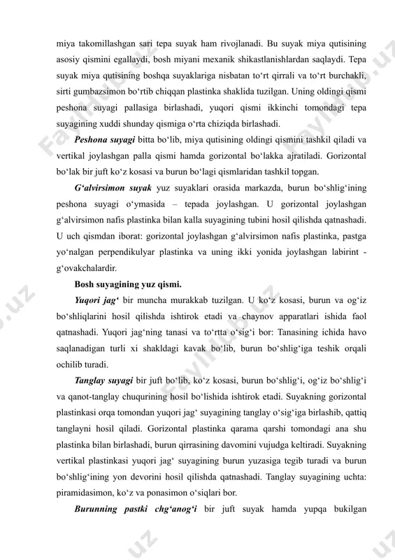 burun bo‘shlig‘i, og‘iz bo‘shlig‘i va qanot-tanglay chuqurining hosil bo‘lishida ishtirok etadi. suyakning gorizontal plastinkasi orqa tomondan yuqori jag‘ suyagining tanglay o‘sig‘iga birlashib, qattiq tanglayni hosil qiladi. gorizontal plastinka qarama qarshi tomondagi ana shu plastinka bilan birlashadi, burun qirrasining davomini vujudga keltiradi. suyakning vertikal plastinkasi yuqori jag‘ suyagining burun yuzasiga tegib turadi va burun bo‘shlig‘ining yon devorini hosil qilishda qatnashadi. tanglay suyagining uchta: piramidasimon, ko‘z va ponasimon o‘siqlari bor. burunning pastki chg‘anog‘i bir juft suyak hamda yupqa bukilgan plastinkadan iborat. uning yuqori chegarasi burun bo‘shlig‘ining yonbosh devoriga yopishib turadi. suyakning medial bo‘rtib turgan yuzasi burun bo‘shlig‘iga kirib, burinning o‘rta yo‘lini pastki yo‘lidan ajratib turadi. burun suyagi bir juft bo‘lib, burun qirrasini hosil qilib joylashadi. burun suyaklarining yuqori qirralari tepa tomondan peshona suyagiga yopishib tursa, pastki qirralari burun tog‘ayi bilan tutashadi. ko‘z yosh suyagi bir juft bo‘lib, kalla suyaklarining orasida eng mo‘rti va yupqasidir. bu suyak yuqori jag‘ suyagi peshona o‘sig‘ining orqa …