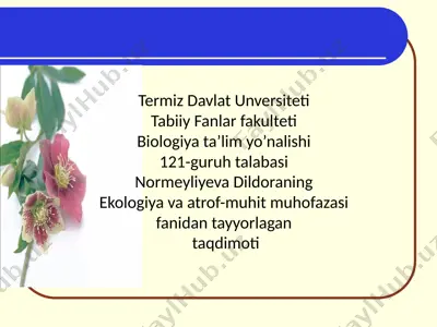 faktorial ekologiya — PPTX