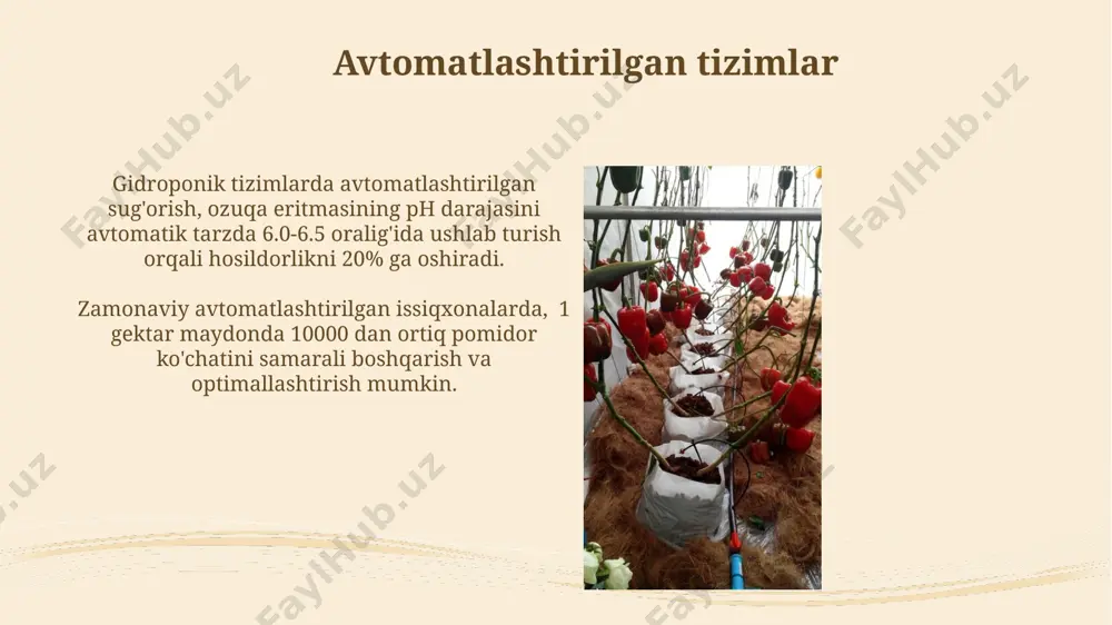 pomidorni substratli va substratsiz muhitda yetishtirish usullari - Page 5
