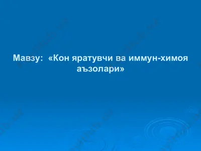 кон яратувчи ва иммун-химоя аъзолари — PPT