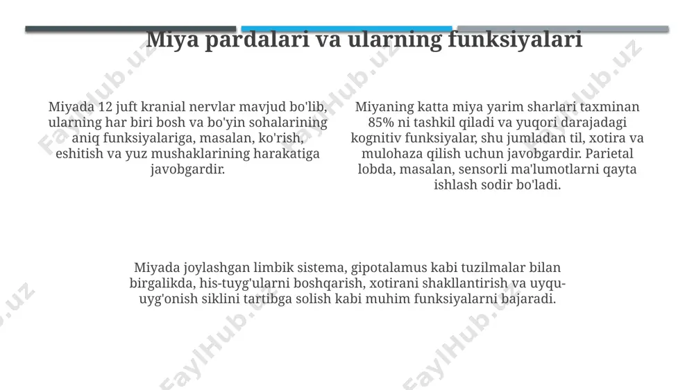 orqa miya va miya pardalari - Page 4