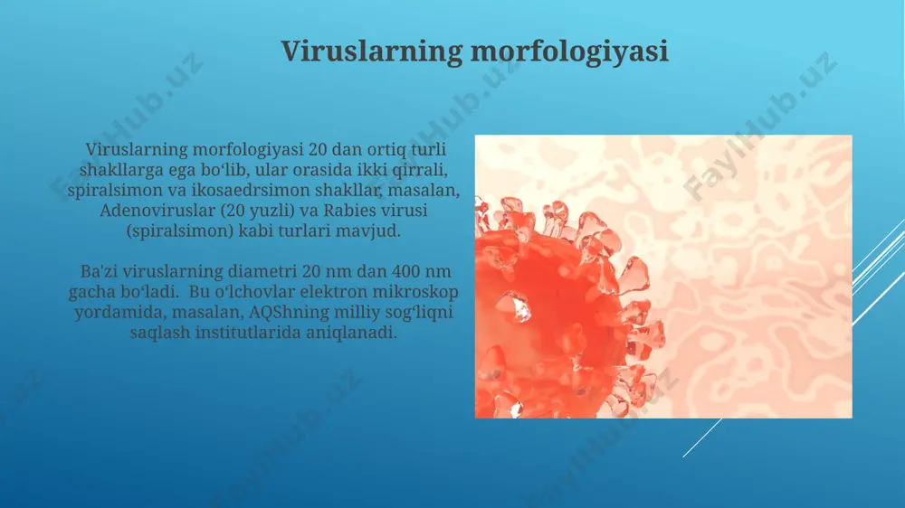 viruslarning klasifikatsiyasi - Page 3