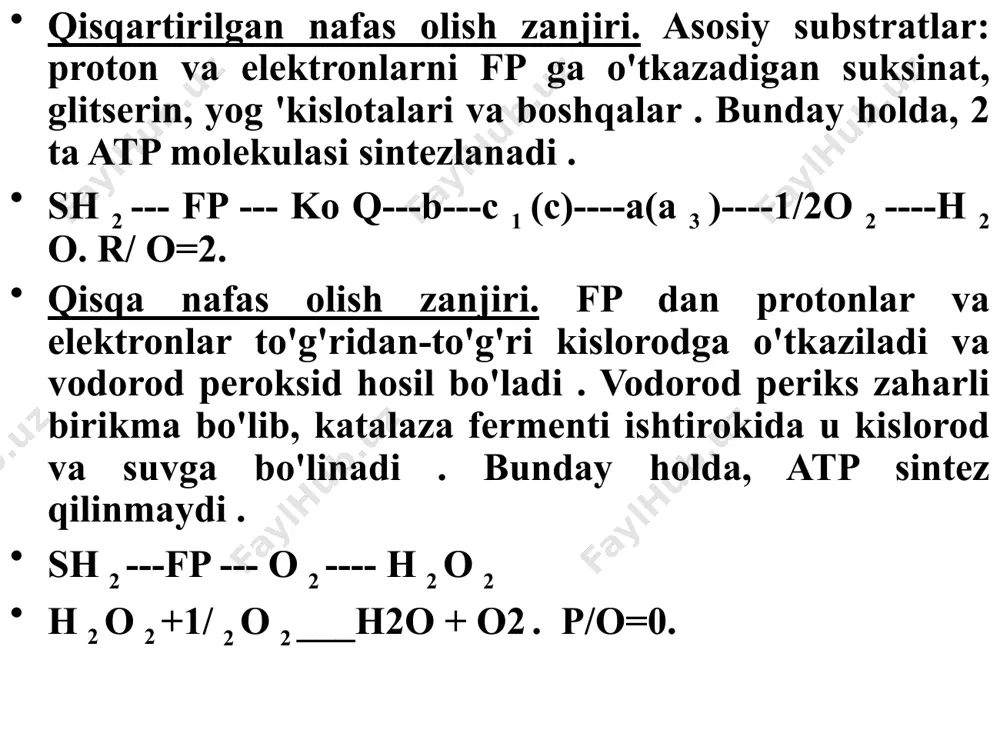 nish esa uning chiqishiga olib keladi. energiya almashinuviga ta'sir qiluvchi moddalar 4 guruhga bo'linadi : 1. dehidrogenaza ingibitorlari : malonat, ftivazid, tubazid; 2. nafas olish zanjiri inhibitörleri : siyanid, a vitamini, barbiturat , rotenon; 3. oksidlanishli fosforlanishni ajratuvchilar : - protonoforlar ( protonlarni membrana orqali tashuvchilar : yog 'kislotalari , 2,4-dinitrofenol, salitsilatlar , tiroksin ) . - ionoforlar : (anionlar va kationlarning o'tkazilishini oshirish: valinomisin, nigeritsin, gramitsidin a) severin 281-bet, 6-17 4. fosforlanish inhibitörleri (atp sinteziga ta'sir qiladi) : disiklokarbodiimid protonlarning fo orqali o'tkazilishini bloklaydi ; o'zaro ta'sir joyida ligomisin atp - sintetaza ning  -polipeptidiga bog'lanadi . f 1 bilan fo . hujayralarda kislorod iste'mol qiluvchi nafas olish zanjirlarining 2 turi mavjud mitoxondriyalar : 1. atp sintezi bilan mitoxondriyaning ichki membranasida joylashgan fosforillovchi nafas olish zanjiri . 2. fosforillanmaydigan nafas olish zanjiri (erkin), mitoxondriyaning tashqi membranasida issiqlik shaklida energiya chiqishi bilan lokalize qilinadi . fp 5 ----in 5 ----s-----a(a …