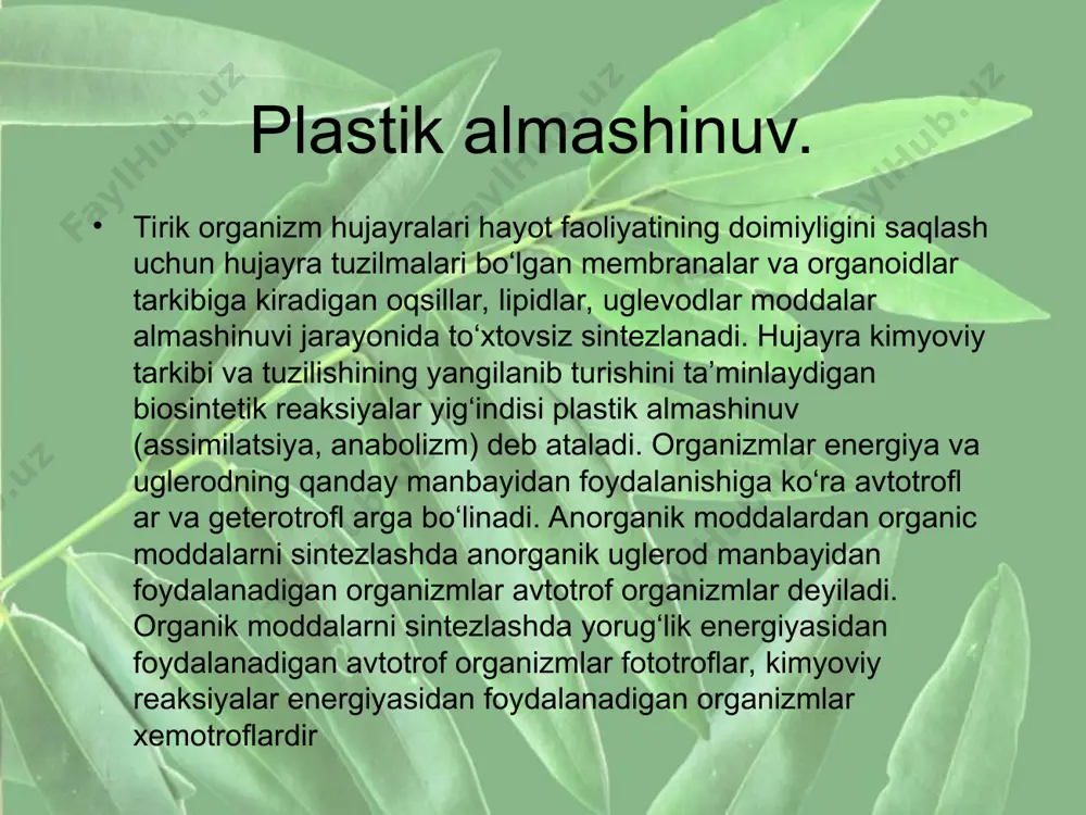 o‘zaro peptid bog‘lar orqali birikadi, ya’ni oqsil sintezlanadi. e`tiboringiz uchun rahmat.