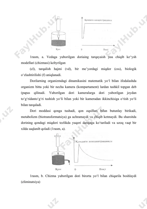 gi miqdoriy o‘zgarishi dorilarning chiqariladigan asosiy yo‘li buyraklar va jigar bo‘lganligi sababli umumiy klirens shu ikki a’zo klirenslari yig‘indisidan iborat bo‘ladi. jigar klirensi jigardagi metabolitik klirens va safro bilan chiqadigan miqdorga teng bo‘ladi. masalan, simetidinning buyrak klirensi600 ml/daq, metabolitik klirensi 200 ml/daq, safro klirensi10 ml/daqiqaga, umumiy klirensi — 810 ml/daqiqaga teng. qlirensni aniqlovchi asosiy fiziologik omillar a’zodagi qon hajmi va qon aylanish tezligi hisoblanadi. jigar klirensi jigardagi qon aylanish tezligi yoki dorilar metabolizmida qatnashadigan fermentlarning fiziologik faoliyatiga bog‘liq. masalan, jigar fermentlari ishtirokida metabolizmga uchraydigan lidokain uchun jigardan o‘tayotgan qon hajmi, ya’ni qon o‘tish tezligiga bog‘liq. shu sababli jigarda qon aylanish buzilganda (yurak yetishmovchiligi sharoitida) lidokain metabolizmi pasayadi, uning qondagi miqdori ortib ketishi mumkin. fenotiazinlar klirensi jigardagi fermentlar faoliyatiga bog‘liq bo‘lib, gepatotsitlar zararlangan sharoitda bu jarayon buzilishi sababli qonda fenotiazinlar miqdori ortib ketadi. dorilar klirensi quyidagi tenglama bo‘yicha ifodalanadi: cl = vdk^ = aug = vd 0,693 vd — tarqalish hajmi, …