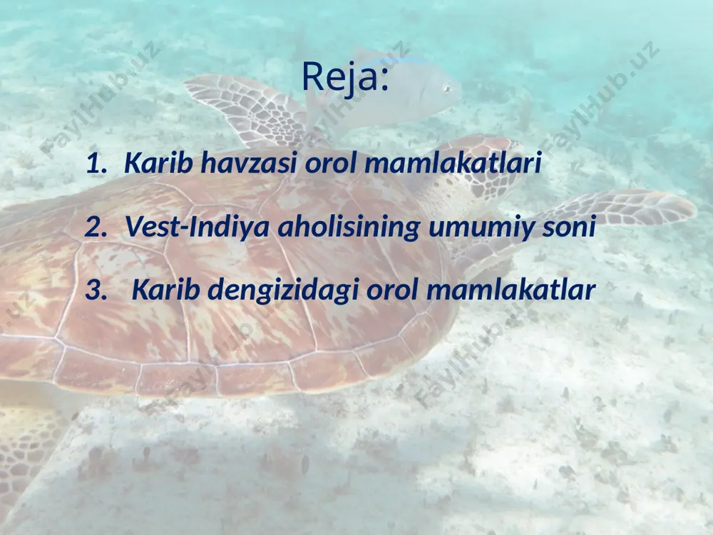 opaliklarning avlodlari (kreollar), dominikana respublikasida mulatlar, boshqa davlatlarda esa qora tanlilar ko‘pchilikni tashkil qiladi. karib dengizidagi orol mamlakatlar iqtisodiy geografik o‘rni, tabiiy sharoit va resurslari, aholi va mehnat resurslari omillari ta’sirida xalqaro mehnat taqsimoti tizimida, asosan, turizm, tropik ekinlarni yetishtirish, ixtisoslashgan. ijtimoiy-iqtisodiy rivojlanish darajasiga ko‘ra vest-indiya mamlakatlari rivojlanayotgan davlatlar toifasiga mansub. subregiondagi davlatlardan bu borada eng peshqadam davlatlar barbados bilan bagama orollari hisoblansa, eng qoloqlari qatoriga dominika va ayniqsa, gaiti respublikasi kiradi. dominika respublikasi image2.jpg image3.jpg image4.png image5.png image6.gif image7.jpeg image8.jpeg image9.jpeg image10.jpeg image11.jpeg image12.jpeg image13.jpeg image14.png image15.jpeg image1.jpg