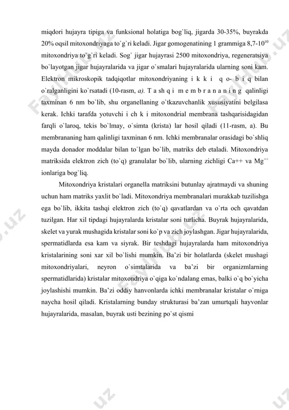 ermatidlarida) kristalar mitoxondriya o`qiga ko`ndalang emas, balki o`q bo`yicha joylashishi mumkin. ba’zi oddiy hanvonlarda ichki membranalar kristalar o`rniga naycha hosil qiladi. kristalarning bunday strukturasi ba’zan umurtqali hayvonlar hujayralarida, masalan, buyrak usti bezining po`st qismi 10- rasm. a - mitoxondriyaning ultramikroskopik tuzilishi (sxema): 1- mitoxondriyaning tashqi membranasi; 2 - mitoxondriyaning ichki membranasi; 3-kristalar; 4 - mitoxondriya matriksi; b-mitoxondriya membranasi elementar tanachalarining tuzilishi (sxema)-1- elementar tanacha; 2 - kristalar; 3 - matriks; 4- tashqi membrana donachalari; 5 - mitoxondriyaning tashqi membranasi (a – i.v.almazov, l.s.sutulov, 1978. b – i.a.alov va boshqalar, 1969). (11-rasm, b), quyon urug`donining interstitsial hujayralarida uchraydi. so`nggi vaqtlarda mitoxondriyalar ichki membranasida zamburug`simon yana bir nozik komponent topilgan bo`lib, u dumaloq zarracha (diametri 6-10 nm) va krista bilan tutashuvchi oyoqchadan (uzunligi 3-5 nm) iborat (10-rasm, b). bunday «e l e m e n t a r z a r r a l a r» har xil tipdagi hujayra mitoxondriyalarida topilgan. …