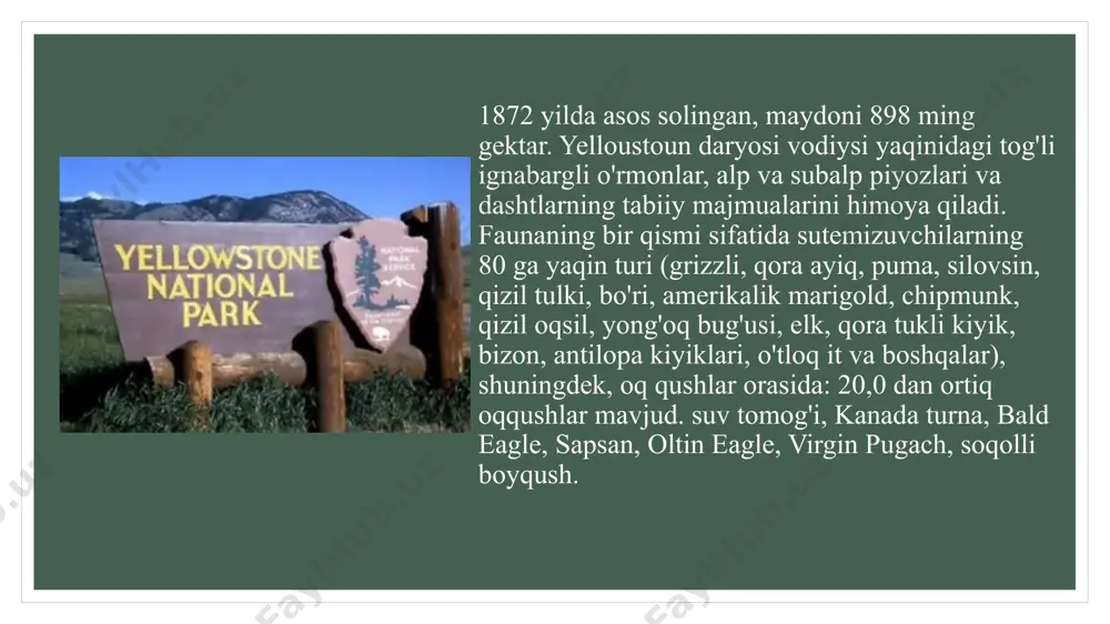 yellowstone milliy bog'i - Page 4