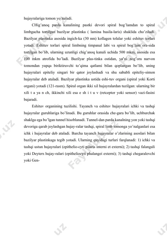 azilyar plastinkaga tegmay tayanch hujayralarning ustida yotadi. ustun hujayralar bazilyar plastinkada ikki qator bo’lib yotadi va ular asosiy tayanch hujayralar hisoblanadi. eng chekkada yotuvchi hujayralar ichki ustun hujayralar, ularga tashqi tomondan yondoshuvchi hujayralar esa tashqi ustun hujayralar deb ataladi. ustun hujayralar tanasi uzun «s» harfi shaklida zgilgan. ichki va tashqi ustun hujayralar bir-biriga engashib turadi. ularning erkin cho’qqilari o’zaro tutashib tublari bir-biridan yiroqlashganligi tufayli tunnel paydo bo’ladi. ushbu spiral yoki ichki (canaliculus internus) tunnel chag’anoq kana-lining boshidan oxirigacha davom etadi. ichki ustun hujay-ralar tashqi hujayralarga nisbatan bir oz kaltaroq va kamroq egilgan. ularning erkin cho’qqilarining yoki boshchalarining yuko-ri yuzasida tutashuvchi cho’qqilar mavjud. tashqi ustun hujagfa-larining boshchalari ichki hujayralarining tutashuv chuqurchalariga botib turadi. elektron mikroskopda ustun hujayralar tcitoplazmasida hujayraning uzun o’qi bo’ylab joylashgan tono-fibrillalarning ingichka tutamlarini ko’rish mumkin. ustun hujayralar hosil qilgan tunnel orqali spiral gangliydan eshituv hujayralariga boruvchi mielinsiz nerv tolalari o’tadi. 'tunnel endolimfaga to’lib turadi. tashqi ustun hujayralardan tashqariroqda …