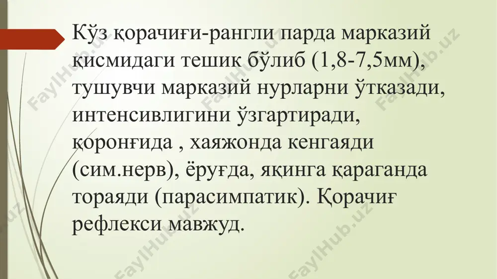 k.а. учун органлар учун маълумотлар - Page 4