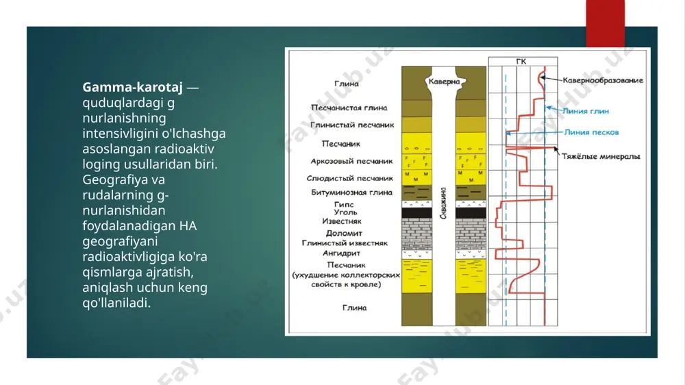 u esa oʼz navbatida karotaj diagrammalarini (talqin qilishda oʼz taʼsirini koʼrsatadi. hamda maʼdan zonalarini ajratish imkoniyatni kamaytiradi, natijada karotaj diagrammasi interpretatsiya ishlari uchun yaroqsiz hisoblanadi. provardida qatlamlar chegarasini aniqlash va ularning litologik tarkibini, uran maʼdan qatlamlarini ajratishda quduqlardagi geofizik tadqiqotlarni talqin qilish oʼz ahamiyatini yoʼqotadi. bunday hollarda yaʼni karotaj diagrammalarida halal beruvchi (pomexa) egri chiziqlar borligi aniqlanganda ushbu burgʼu qudugʼida qgt operatori qayta karotaj oʼtqazishi shart va uni qaytadan oʼtqazilgan karotajlarni qayd qilish jurnaliga yozadi. qoʼllanma boʼyicha qayta karotaj oʼtkazishda boshqa karotaj zondidan foydalanish, yaʼni quduq zondi almashtirilishi yoki qgt operatori almashtirilishi lozim. raqamli maʼlumotlar bazasi va fayllar strukturasi raqamli ko’rinishda bo’ladi. masalan «kobra» raqamli karotaj stantsiyasidagi fayllar strukturasi flgrgk.dat, pgfile.dat, gofile.dat ko’rinishda bo’ladi. аnalogli karotaj stantsiyalaridan farqli ravishda qayd qilingan qiymatlar koʼrinishi maʼlumotlar bazasida (lbd) raqamli koʼrinishda saqlanadi. maxsus dasturlar orqali ularni diagramma egri chiziq holida qogʼozga chiqarish mumkin. (oddiyroq qilib excel-dasturida raqamli son qiymatlarni grafik shaklda tasvirlanishiga oʼxshagan …