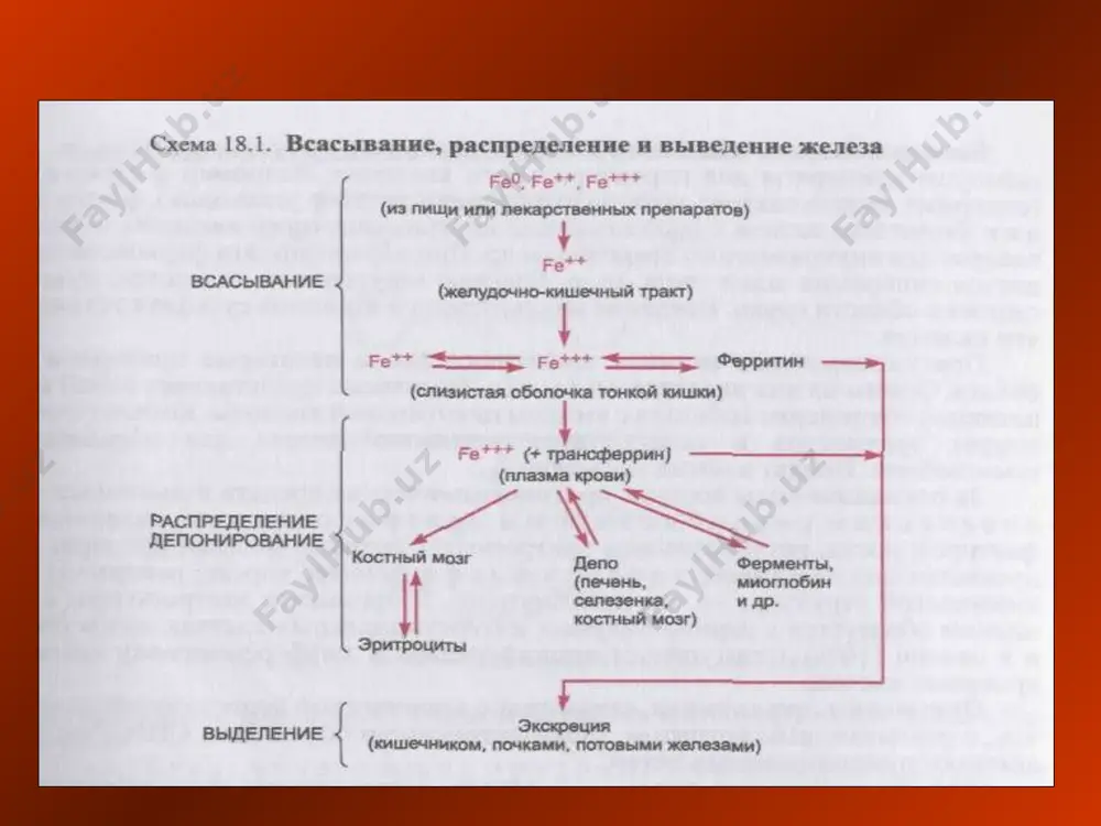 ар жароҳатланганда қон ивимай қолади, тромб ҳосил бўлмайди, қон томирларнинг ўтказувчанлиги ошиб кетиши мумкин. бунда қонни қуюлтириш учун гемостатик моддалар қўлланилади. айрим касалликларда қон қуюлиши жараёни ошиб кетади. томирларда қон ивиб, тромб ҳосил бўлади, мия қон томирларида тромб пайдо бўлса – инсульт, тож томирларда пайдо бўлса – миокард инфаркти, четда жойлашган қон томирларда юзага келса – тромбофлебит, облитерацияловчи эндоартериит ва бошқа хавфли касалликлар содир бўлиш мумкин. бундай шароитда қон қуюлиш жараёнини пасайтириш учун антикоагулянт, антиагрегант моддалар қўлланилади. гемостатик моддалар. бундай моддалар қаторига коагулянтлар фибринолиз ингибиторлари ва тромбоцитлар агрегациясини оширувчи моддалар киритилади. коагулянтлар – беъвосита хамда билвосита таъсир этувчи моддаларга бўлинади. беъвосита таъсир этувчи (кўпинча махаллий қўлланиладиган) моддаларга қон қуюлишининг табиий воситалари тромбин ва фибриноген киради. булар in vivo ҳамда in vitro қонга қуюлтирувчи таъсир кўрсатилади. тромбин оқиб турган майда қон томирларга, паренхиматоз аъзоларга маҳаллий қўлланилади. фибриноген тромбин туфайли фибринга айланади. фибриноген акушерлик амалиётида ишлатилади, туғишдан олдин йўлдош кўчганда қон кетишнинг …