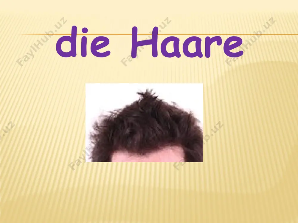 e,die hände. zum mathelernen brauche ich den kopf. wo tut es weh? mein kopf tut weh. wo tut es weh? mein bauch tut weh. wo tut es weh? mein zahn tut weh. was hast du? ich habe armschmerzen. was hast du? ich habe ohrenschmerzen. augen von angela merkel
