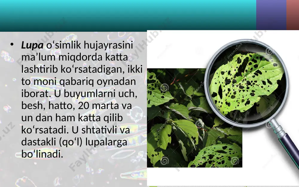 kattalashtirib ko‘rsatadigan asboblar. 5 - sinf - Page 3