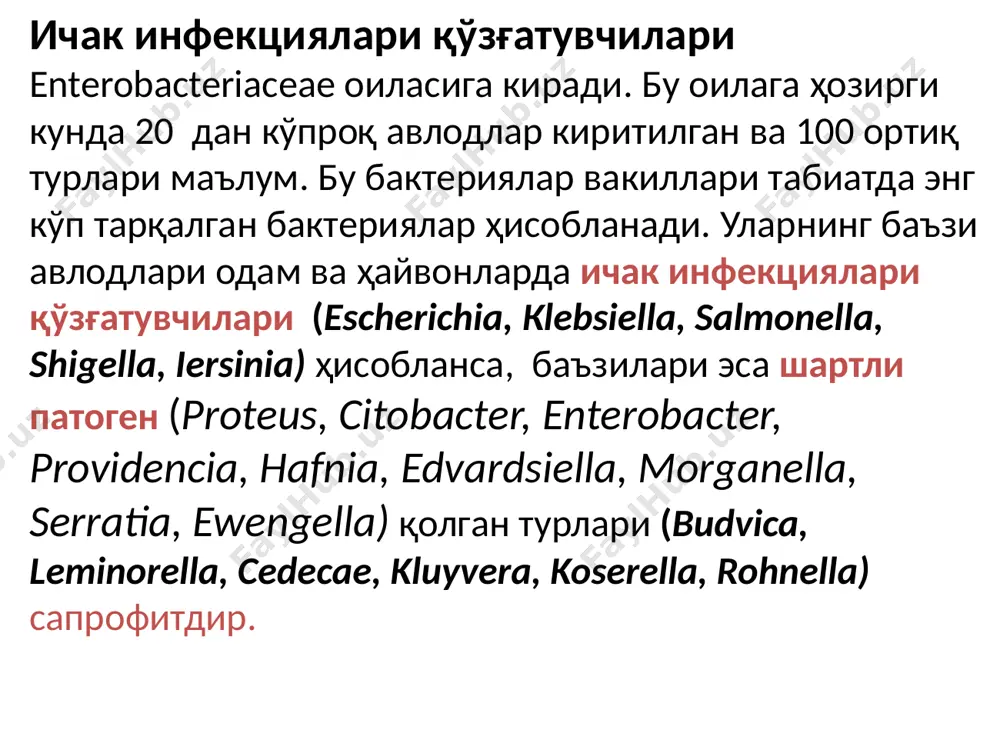 artritlar klebsiella, serratia enterobacter turlari va e.coli s.typhi, salmonella, proteus, iersinia turlari sinovial suyuqlik mezintral limfodenitlar salmonella, iersinia turlari serratia turlari mezintral limfo tugunlaridan bioptat enterobacteriaceae oilasi bakteriyalarining yuqumli kasalliklar keltirib chiqarishi enterobakteriyalar asosan hammasi gram manfiy tayoqchalar bo'lib, ko'pchilik vakillarida peritrix xivchinlari mavjud (harakatchan), kapsula hosil qilmaydi (klebsiella, iersiniyalardan tashqari) sporasi yo'q. enterobakteriyalar aerob va fakultativ anaerob, ko'pchilik vakillari oziqli muhitlarga talabchan emas, oddiy muhitlarda yaxshi o'sadi. xemoorganotrof, uglevodlarni fermentatsiya yo'li bilan parchalab, o'zlashtirishadi. shuning uchun bu gruppa bakteriyalarni “fermentatsiya” qiluvchi bakteriyalar guruhiga klassifikatsiyada kiritilgan. bu bakteriyalarda katalaza musbat oksidaza manfiy hisoblanadi. enterobakteriyalarning biologik xususiyatlari enteropatogen e.coli infektsiya-lari qo'zg'atuvchilarining mikrobiologik diagnostikasi e.coli odam yo'g'on ichagini normal mikroflorasi hisoblanadi, lekin hozirda uning ko'plab serologik tiplari odam uchun patogen hisoblanadi morfologiyasi va kultural xususiyatlari escherichia - avlodi. ( 1885 yilda teodor esherix topgan) tipik turi : escherichia coli. issiq qonli va sovuq qonli hayvonlardan quyidagi turlari ajratib olingan: e.blattae e.fergusonnii e.hermannii …