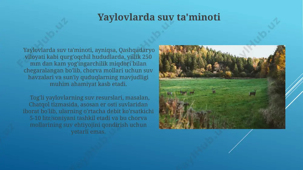 yaylov o'simliklarining turlari qoraqalpog'iston respublikasining yaylovlarida 150 dan ortiq o'simlik turi, shu jumladan, efemer va efemeroidlar, masalan, beda va shuvoqning turli xillari uchraydi. tog'li yaylovlarda, 2000 metr balandlikdan yuqori, alp o'simliklari, masalan, turli xil o'tlar va butalar, jumladan, 5 dan ortiq dorivor o'simlik turlari o'sadi. yaylovlarning degradasiyasi va saqlanishi surxondaryo viloyatining yaylovlarida amalga oshirilgan ekologik loyihalar natijasida, 2022 yilda o‘simlik turlari soni 15% ga oshgan va bu biologik xilma-xillikni oshirdi. to‘g‘ri yaylov boshqaruvi va 5-10 yillik aylanma yaylov tizimining joriy etilishi, o‘zbekistonning namliligi past bo‘lgan viloyatlarida tuproq eroziyasini 30% ga kamaytirishga yordam beradi. yaylovlarni reabilitatsiya qilish yaylovlarni reabilitatsiya qilishda 5-10 yil davom etadigan kompleks yondashuv, o'simlik qoplami tiklanishiga, tuproq unumdorligining 20% ga oshishiga va namangan viloyatidagi yaylovlarda bioxilma-xillikning ko'payishiga olib kelishi mumkin. chala ekinlarni ekish va unumdorlikni oshirish uchun 30% gacha mineral o'g'itlar qo'llash, qashqadaryo viloyatidagi yaylovlarning suv resurslarini 15% ga tejash va chorva mollarining o'sish sur'atlarini 10% ga oshirishga …