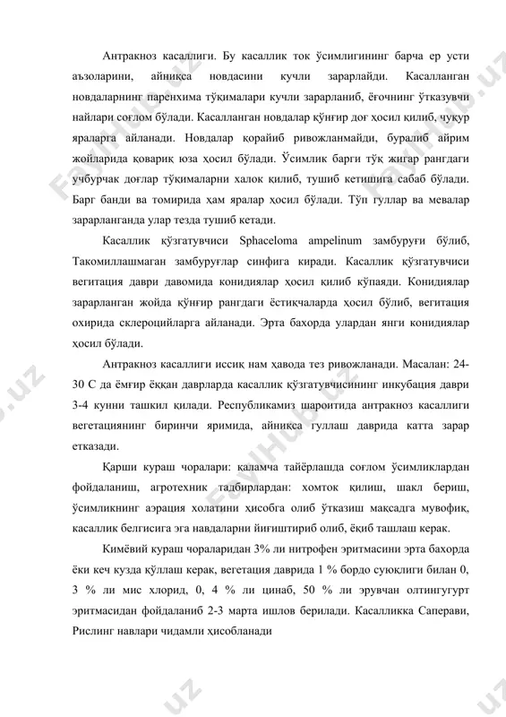 ар ва мевалар зарарланганда улар тезда тушиб кетади. касаллик қўзгатувчиси sphaceloma ampelinum замбуруғи бўлиб, такомиллашмаган замбуруғлар синфига киради. касаллик қўзгатувчиси вегитация даври давомида конидиялар ҳосил қилиб кўпаяди. конидиялар зарарланган жойда қўнғир рангдаги ёстиқчаларда ҳосил бўлиб, вегитация охирида склероцийларга айланади. эрта бахорда улардан янги конидиялар ҳосил бўлади. антракноз касаллиги иссиқ нам ҳавода тез ривожланади. масалан: 24-30 с да ёмғир ёққан даврларда касаллик қўзгатувчисининг инкубация даври 3-4 кунни ташкил қилади. республикамиз шароитида антракноз касаллиги вегетациянинг биринчи яримида, айниқса гуллаш даврида катта зарар етказади. қарши кураш чоралари: қаламча тайёрлашда соғлом ўсимликлардан фойдаланиш, агротехник тадбирлардан: хомток қилиш, шакл бериш, ўсимликнинг аэрация холатини ҳисобга олиб ўтказиш мақсадга мувофиқ, касаллик белгисига эга навдаларни йиғиштириб олиб, ёқиб ташлаш керак. кимёвий кураш чораларидан 3% ли нитрофен эритмасини эрта бахорда ёки кеч кузда қўллаш керак, вегетация даврида 1 % бордо суюқлиги билан 0, 3 % ли мис хлорид, 0, 4 % ли цинаб, 50 % ли эрувчан олтингугурт эритмасидан …
