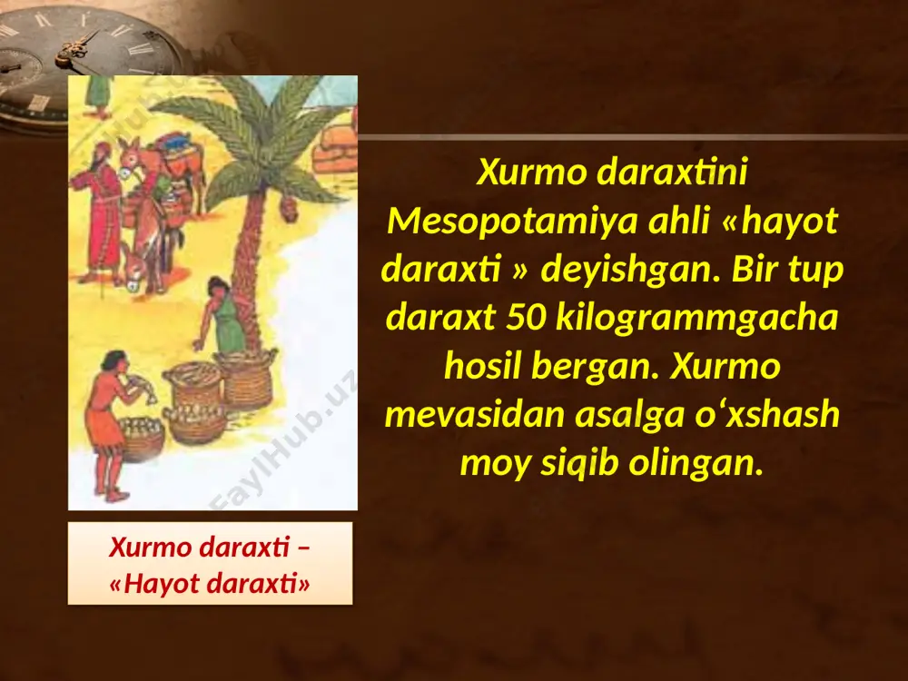 mesopotamiya sivilizatsiyalari. 6- sinf - Page 4