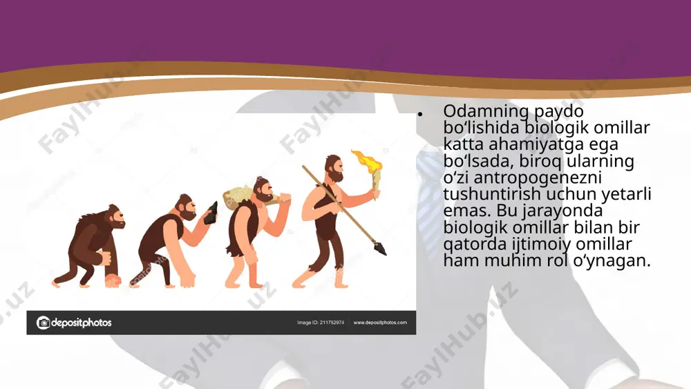 i ravishda odamda ikkinchi signal sistemasi rivojlangan. ovchilik bilan shug‘ullanish, baliq ovlash faqat o‘simliklar bilangina emas, balki aralash ovqatlanishga ham imkon bergan. bu esa o‘z-o‘zidan ichaklarning qisqarishiga sababchi bo‘lgan. olovda pishirilgan oziqni ming yillar mobaynida iste’mol qilish bora-bora chaynash apparatiga bo‘lgan og‘irlikni yengillashtirgan. xulosa qilib aytganda, tik yurishga o‘tish, qo‘lining yurishdan ozod bo‘lishi, mehnat qurollarini yasash, go‘sht iste’mol qilish, olovdan foydalanish, jamoa bo‘lib yashash, ong va nutqning rivojlanishi odam evolutsiyasida katta ahamiyatga ega bo‘lgan. odam irqlari. zamonaviy odamlarning hammasi bitta «homo sapiens sapiens» turiga mansub. insoniyatning birligi, uning kelib chiqishining umumiyligi, tuzilishining o‘xshashligi turli xalqlar orasidagi nikohdan sog‘lom avlod tug‘ilishi bilan tasdiqlanadi. homo sapiens sapiens turining ichida yirik sistematik guruhlar – irqlar mavjud. yevropoid irqqa mansub odamlar terisi och rangda (oq tanli), sochlari tekis yoki to‘lqinsimon, rangi sarg‘ish yoki qo‘ng‘ir, ko‘zlari ko‘k yoki kulrang-yashil, lablari yupqa, burni ingichka, erkaklarida soqol-mo‘ylovlari yaxshi o‘sadi. mongoloid irqqa mansub odamlarning terisi qora mag‘iz, sarg‘ish, …