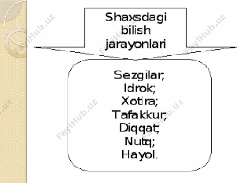 bilish jarayonlari - Page 5