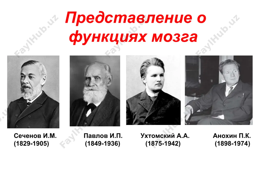лосу взрослого, к звуку игрушки; лежа на животе, непродолжительно удерживает голову. в возрасте 3 месяцев у ребенка исчезает физиологическая гипертония мышц верхних конечностей; ребенок при общении с ним оживленно двигает руками и ногами, улыбается, издает звуки (начало гуления); в вертикальном положении на руках у взрослого сосредотачивает взгляд на лице говорящего с ним; случайно наталкивается руками на игрушки, висящие на высоте 10-15 см; лежит на животе несколько минут, опираясь на предплечья и высоко подняв голову; при поддержке под мышки крепко упирается ногами о твердую опору, ноги могут быть слегка согнуты; удерживает голову в вертикальном положении (на руках у взрослого). в возрасте 4 месяцев ребенок громко смеется при общении с ним, гулит; поворачивает голову в сторону источника звука и находит его глазами; узнает мать; рассматривает и захватывает висящие над грудью предметы; во время кормления придерживает руками грудь матери, бутылочку; переворачивается со спины на живот. в возрасте 5 месяцев ребенок узнает голос близкого …