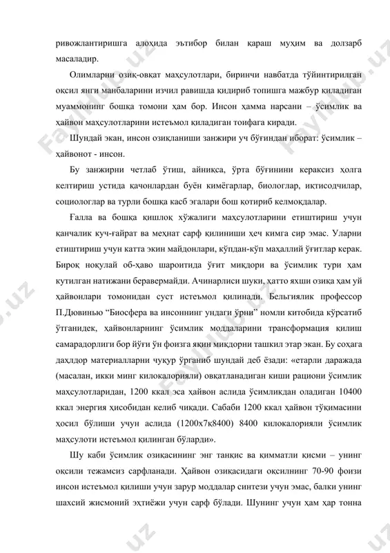 ас, балки унинг шахсий жисмоний эҳтиёжи учун сарф бўлади. шунинг учун ҳам ҳар тонна ҳайвон оқсили синтези учун камида 4,8-4,9 тонна осон ҳазм бўладиган озиқа оқсили сарф қилишга тўғри келади. агар биз истеъмол қиладиган ҳайвон маҳсулотларини алоҳида олиб кўрадиган бўлсак, қуйидаги манзара намоён бўлади: бир тонна сут оқсилини тайёрлаш учун 3,8-4,0 тонна; тухум оқсили учун – 3,9-4,1 тонна; парранда гўшти оқсили учун – 4,5-4,7 тонна; мол гўшти оқсили учун – 7,3-7,6 тонна; қўй гўшти оқсили учун эса 9,3-9,7 тонна ҳисобидан озиқа оқсили сарфланиши аниқланган. ҳайвонларни бундай катта сарф-ҳаражатлар билан узоқ вақт парваришлаш чорва маҳсулотларидаги оқсил таннархини қимматлашиб кетишига олиб келади. шунинг учун олимлар одат тусига айланган ва юқорида эслатиб ўтилган озиқ-овқат занжиридаги ўрта қисм – чорва ҳайвонларини салбий таъсирларсиз қандай чиқариб ташлаш мумкинлиги тўғрисида бош қотирмоқдалар. фақат бош қотириш эмас, балки амалга оширишга интилмоқдалар. бироқ яққол айтиш мумкинки, масаланинг иқтисодий томони аниқ бўлса ҳам, унинг ечими нафақат илмий-техникавий, балки психологик …