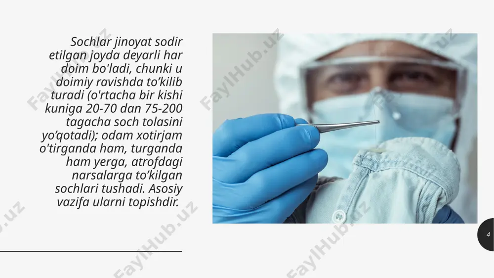 ‘zgarishlar vujudga keladi. 20 soch o‘tkir jism bilan kesilganda uning periferik uchining yuzasi tekis yoki mayda tishli bo’ladi va vaqt o‘tishi bilan yuzasi silliqlashadi. mexanik ta’sir soch keskin harakat bilan uzilganda yuzasi tekis bo’lsa,sekinroq harakat bilan uzilganda zinasimon yuza qoladi. yaqin distansiyadan o‘qotilganda kirish teshigi atrofidagi sochlarda mexanik va termik ta’sir alomatlari bilan birqatorda,qurum,mayda porox zarrachalari aniqlanishi mumkin. soch sterjenining ezilishi,supurgisimon tolalanishi o‘tmas jismlrning ta’siri uchun xosdir. mexanik+termik 21 yuqori harorat ta’sirida sochning sterjeni buraladi,mallarang tusga kiradi va mikroskopik tekshiuvda sochda turli o’lchamlardagi havo bilan to’lgan bo‘shliqlar paydo bo’ladi.harorat 200 gradusdan oshganda soch ko‘mirlanadi. termikta’sir tabiiy ko‘rinishdagi sochda kutikula rangsiz yoki biroz kulrang tusda bo’lib,sochning pigmenti po‘stloq qismda joylashsa,bo‘yalgansochda bo‘yoq sterjenning kutikulasida aniqlanadi,sochning ildiz qismida bo‘yoq bo’lmaydi. kimyoviyta’sir 22 o’tkir, o’tmas buyum, o’q otar qurollar bilan yetkazilgan jarohatlar natijasida sochda yuzaga keladigan o’zgarishlar. 23 sochning jarohat yetkazilgan joyida supurgisimon tarzda tolachalarga ajralishi. sochning yuqori darajali jarohat taʼsiridan o’zgarishi. sochning muayyan …