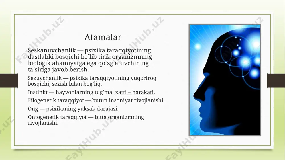 aqiyoti hamma tirik organizmlar, o`simliklardan tortib hayvonlargacha evolyutsiyaning barcha bosqichida aks ettirishning biologik shakli bo`lgan seskanuvchanlik xususiyatiga ega. seskanuvchanlik - tirik organizmlarning biologik ahamiyatiga ega bo`lgan ta`sirlarga javob qaytarish qobiliyatidir. sodda, bir hujayrali tirik organizmlarda elementar seskanuvchanlik xususiyati bor bo`lib, ular tashqi muhit ta`siriga harakat bilan javob qaytaradi, muhit ta`sirida hujayra protoplazmasininng xususiyati o`zgaradi. psixika taraqiyoti biologik omillarga maxsus harakatlar bilan reaktsiya qilish usullariga tropizm deb ataladi. tropizmlar har xil bo`ladi, fototropizm - tirik organizmning issiqlik ta`siri ostida harakat qilishga moyilligidir, xemotropizm - ma`lum fizik - ximiyaviy muhitni tanlab olishga moyilligidir, topotropizm tirik organizmning mexanik qo`zg`atuvchi ta`siri ostida harakatlanishdir. tropizmlar o`simliklarning o`z-o`zini boshqarishiga imkon beradi. hayvonlarda ta`sirlanishning yangi turi - sezuvchanlik yuzaga kelgan. yuksak tashqil topgan hayvonlarda sezuvchanlik taraqqiy etadi, sezgi a`zolari tarkib topadi. narsalarning organizm uchun aslida befarq, ya`ni organik ehtiyojlarini qondirmaydigan belgilari (hidlari, shakllari, ranglari) signallik ahamiyatiga ega bo`ladi. hayvonlarda o`simliklarga qaraganda sezuvchanlik tufayli ancha ko`p ta`sirlarni aks …