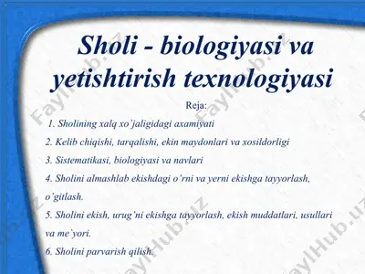 sholi - biologiyasi va yetishtirish texnologiyasi — PPTX