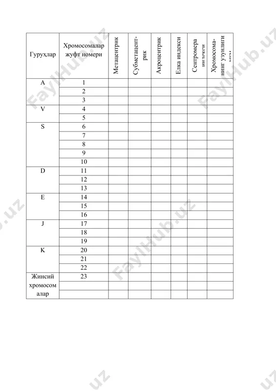 хромосомалар морфологияси - Page 5