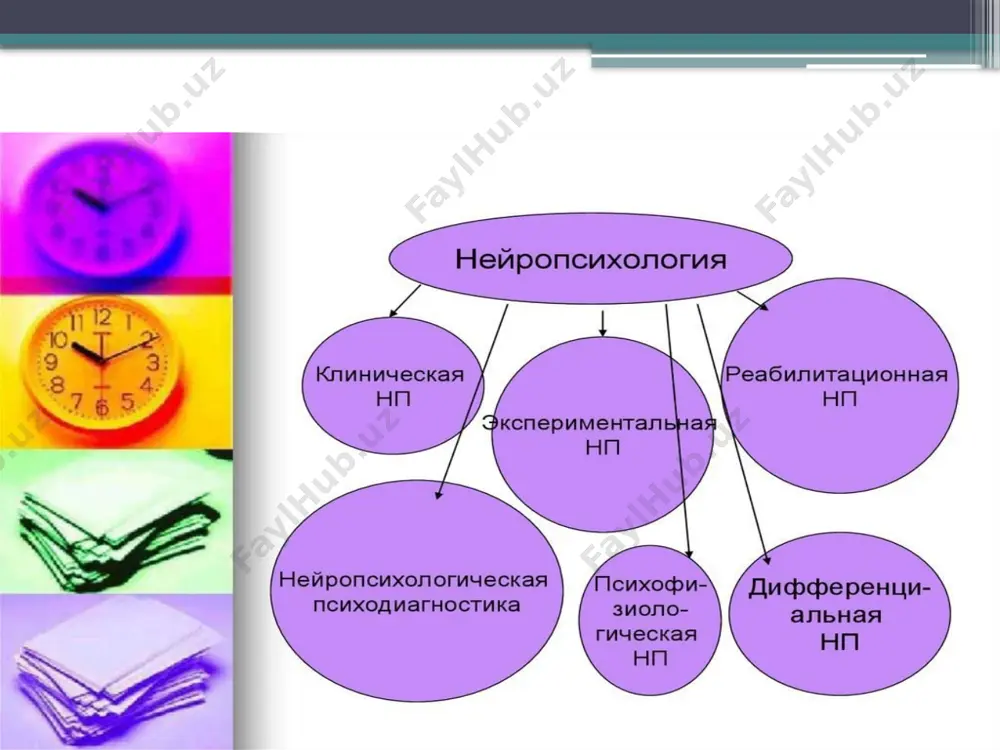 neyropsixologiya va uning rivojlanishi tarixi - Page 5