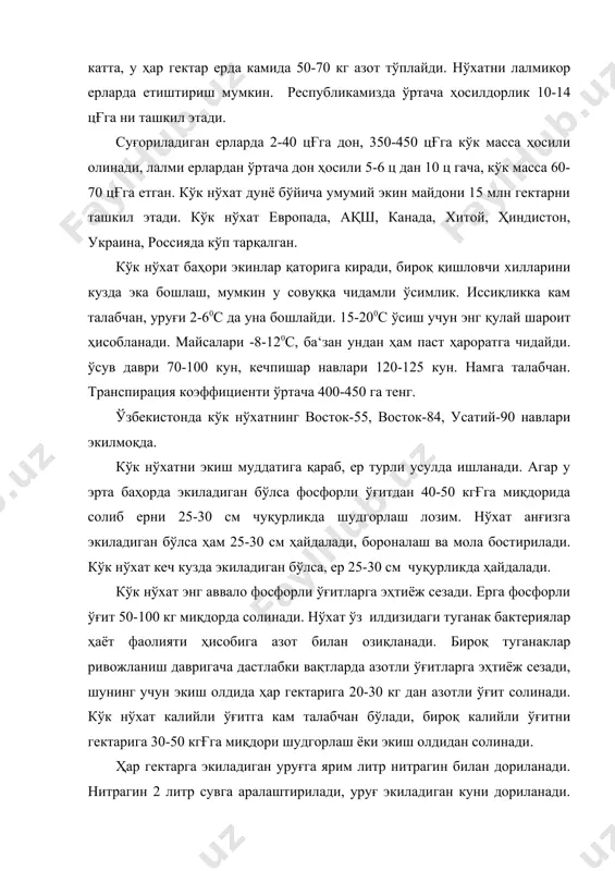 тни унувчанлиги 92-95%, тозалиги 98-99% бўлган, 1-2 синф талабига жавоб берадиган уруғ экилади. нўхат уруғини сзт-47, сд-24, суб-48 маркали машиналарда экилади. экиш ме‘ёри гектарига 1-1,2 млн дона, вазн ҳисобида йирик донли нўхатлар 250-300 кгғга, майда донли нўхат 120-150 кгғга, енгил тупроқли ерларда 5-7 см, оғир тупроқли ерларда 4-5 см чуқурликда экилади. нўхатнинг ҳосили бир вақтда етишмайди. аввал энг тўлиқ пастки дуккаклар, сўнгра юқоридагилари пишади, тўкилувчан. нўхат пишганда типи одатда ерга ётиб қолиб, бир-бирига чирмашиб кетади. шунинг учун икки муддатда йиғиш энг яхши усул ҳисобланади. нўхатни 70% пастки дуккаклилари пишганда терила бошланади. нўхат палаги жбл-3,5, жну-3,2, жнб-3,5 маркали махсус ўроқ машиналарида ўрилади, 2-3 кундан кейин ск-3, ск-4 маркали ўзи юрар комбайнларда йиғиб олинади. ловия ва жайдари нўхат қимматли озиқ-овқат ва ем-хашак ўсимликдир. унинг дони таркибида ўртача 19-30% оқсил, 4-7% мой, 46-60% крахмал, в витамин, турли минерал тузлар ва овқат ҳазм қилишга ёрдам берадиган энг муҳим аминокислоталар бор. ловия ва нўхатдан, суюқ, …