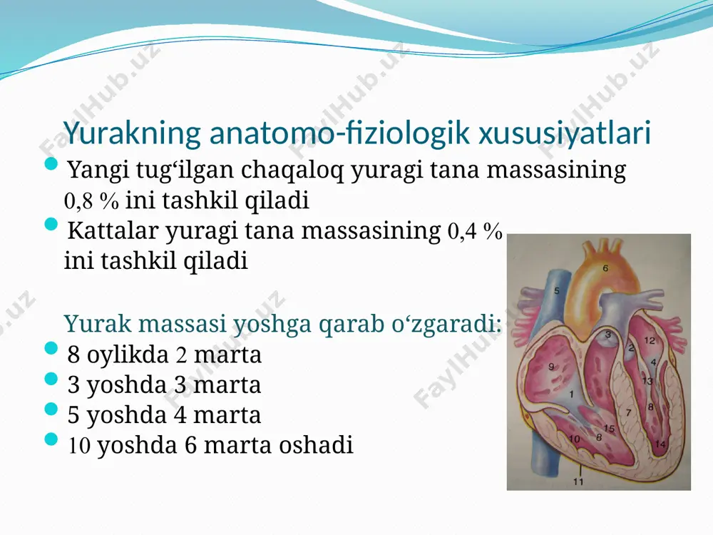 kin bu 2 yoshdan 10 yoshgacha kuzatiladi yangi tug‘ilgan chaqaloqlar arteriyasining aylanasi vena aylanasiga yaqin, ammo 16 yoshdan so‘ng arteriyalar 2 barobar ingichkalashadi puls tezligi yangi tug‘ilgan chaqaloqlarda – 120-140 ta 1 yoshda – 120 ta 3 yoshda – 105 ta 5 yoshda – 100 ta 8 yoshda – 90 ta 10 yoshda – 85 ta 12 yoshda – 80 ta a.carotis (uyqu arteriyasida) bolalar uchun puls tezligi (a.f. tur bo‘yicha) yoshi 1 daqiqalik puls tezligi yoshi 1 daqiqalik puls tezligi yatch 120-140 8 yosh 80-65 6 oylik 130-135 9 yosh 80-85 1 yosh 120-125 10 yosh 76-85 2 yosh 110-115 11 yosh 78-84 3 yosh 105-110 12 yosh 75-82 4 yosh 100-105 13 yosh 72-80 5 yosh 98-100 14 yosh 72-78 6 yosh 90-95 15 yosh 70-75 7 yosh 85-90 kattalar 60-85 a.humoralis a.radialis a.femoralis a.dorsalis pedis a.poplitea a.tibialis posterior puls xususiyatlari normada simmetrik puls tezligi. puls sonining yoshiga …